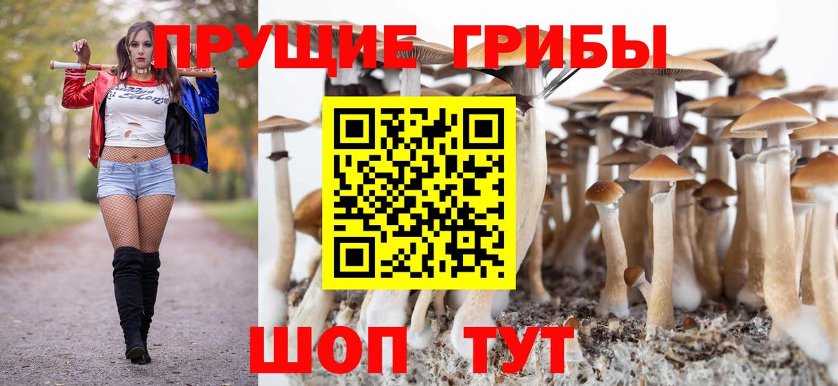 ГАШ Лениногорск