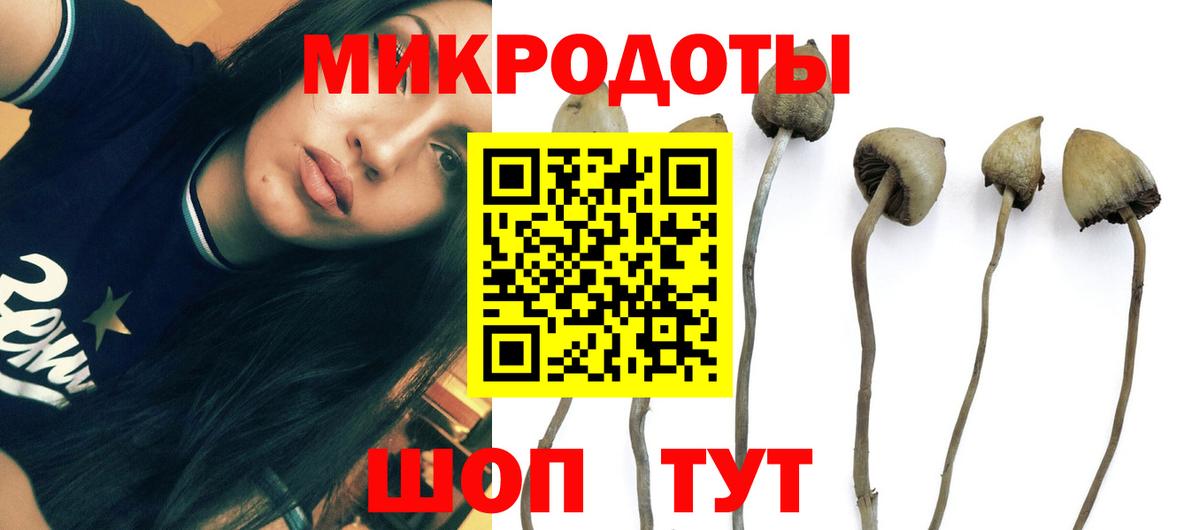 Псилоцибиновые грибы Magic Shrooms Лениногорск